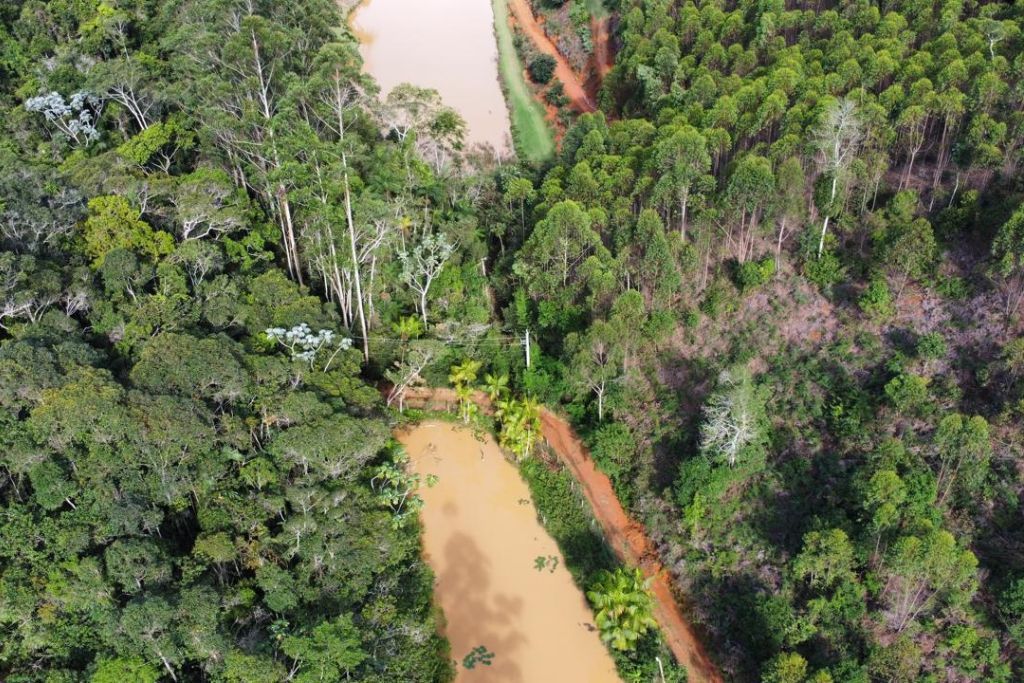 Prefeitura de Santa Teresa Refuta Denúncias de Contaminação Ambiental em Valão de São Pedro