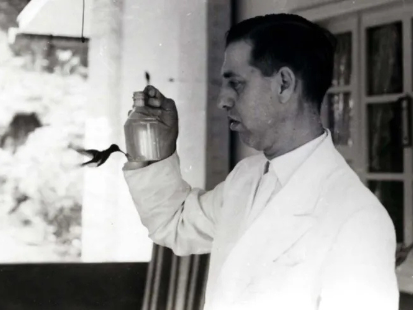 Augusto Ruschi realizou estudos sobre beija-flores. — Foto: Arquivo/ Instituto Nacional da Mata Atlântica (INMA)
